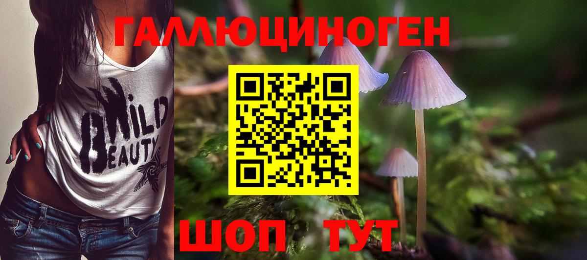Кингисепп  Псилоцибиновые грибы ЛСД  Вход с VPN 